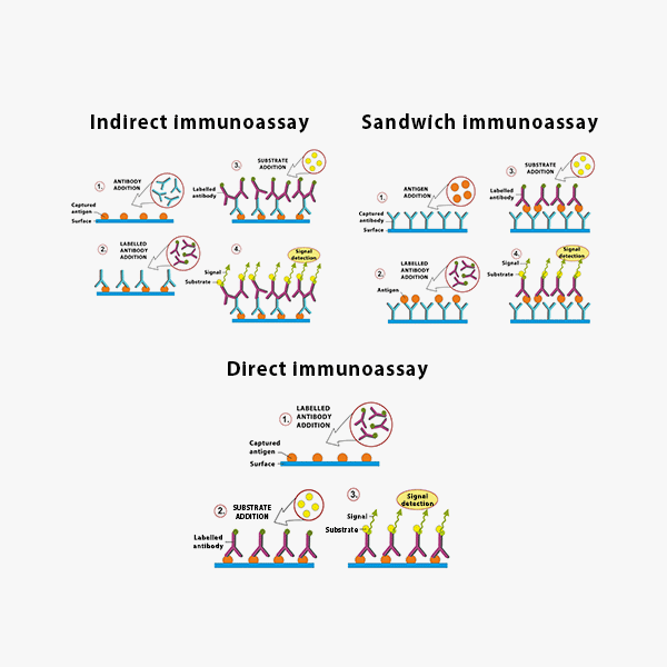 GST-Tag Antibody GST-Tag Antibody Ushelf PA000110-P-208