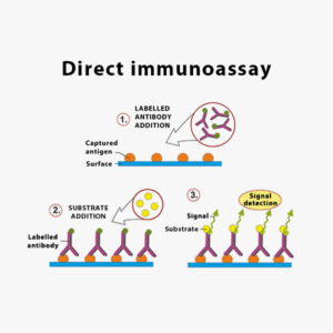 HA-Tag Antibody Ushelf PA000277-M20003S