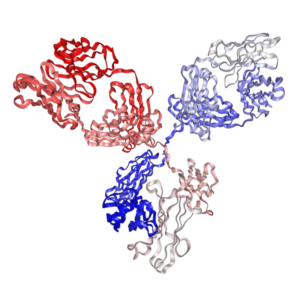 Recombinant Anti-HA-Tag Monoclonal Antibody (clone 12CA5), Mouse IgG2b Kappa PA007281.m2b Syd Labs