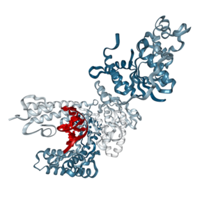 Recombinant Anti-human CD3 / CD3 Bispecific Antibody, Mouse IgG2a Kappa (Clone SP34-2 / OKT3) PA008008.m1 Ushelf