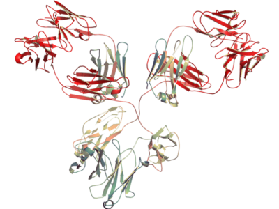 In Vivo Grade Recombinant Anti-mouse PD-1 / VEGF-A Bispecific Antibody, Mouse IgG2c LALAPG Kappa (Clone RMP1-14.1 / B20-4.1.1.1) PA008014.m2cLA Syd Labs