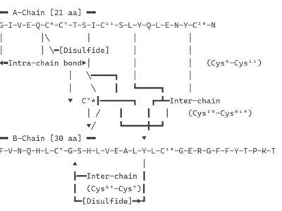 Recombinant Human Insulin | 11061-68-0 Ushelf