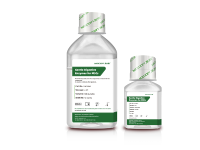 Gentle Digestive Enzymes For Stem Cells | NC1004 Ushelf