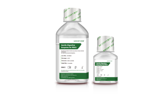 Gentle Digestive Enzymes For Stem Cells Gentle Digestive Enzymes For Stem Cells | NC1004 Ushelf