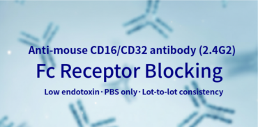 Anti-mouse CD16/CD32 Antibody (Clone: 2.4G2) | PA007389.r2b Syd Labs Anti-mouse CD16/CD32 Antibody (Clone: 2.4G2) | PA007389.r2b Syd Labs