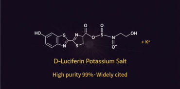 D-Luciferin Potassium Salt (MB102) Syd Labs D-Luciferin Potassium Salt (MB102) Syd Labs