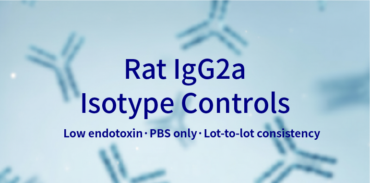 Rat IgG2a Isotype Control Antibody(Clone: 12B9) | PA007143 Syd Labs Rat IgG2a Isotype Control Antibody(Clone: 12B9) | PA007143 Syd Labs